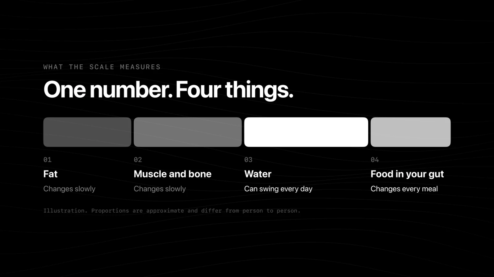 Diagram: the number on the scale is made of fat, muscle and bone, water, and food in the gut. Water and food change every day, fat and muscle change slowly